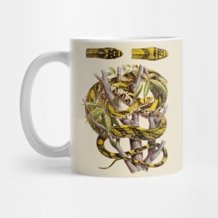 Vintage Snake ilustration Mug